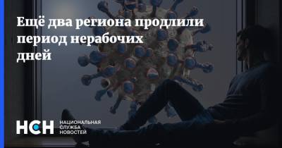 Роман Старовойт - Ещё два региона продлили период нерабочих дней - nsn.fm - Челябинская обл. - Курская обл.