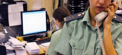 Приставы Карелии нашли алиментщика в Финляндии и заставили вернуть долг ребенку - stolicaonego.ru - Россия - Финляндия - республика Карелия