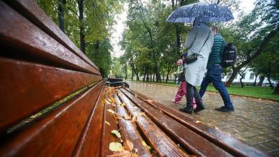 Татьяна Позднякова - Синоптик рассказала, сколько продлятся дожди в Москве - vm.ru - Москва