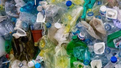 В Воронежской области за пандемию почти на 50% выросло количество мусора - vestivrn.ru - респ. Ингушетия - Алтайский край - Воронежская обл.