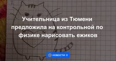 Учительница из Тюмени предложила на контрольной по физике нарисовать ежиков - news.mail.ru - Тюмень - Twitter