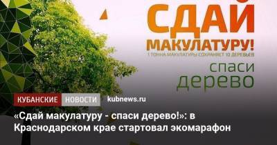 «Сдай макулатуру - спаси дерево!»: в Краснодарском крае стартовал экомарафон - kubnews.ru - Краснодарский край - Кубань - Экология