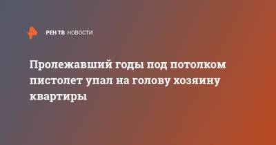 Пролежавший годы под потолком пистолет упал на голову хозяину квартиры - ren.tv - Москва - Россия