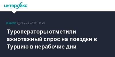 Туроператоры отметили ажиотажный спрос на поездки в Турцию в нерабочие дни - interfax.ru - Москва - Турция - Стамбул