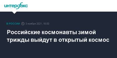 Антон Шкаплеров - Петр Дубров - Российские космонавты зимой трижды выйдут в открытый космос - interfax.ru - Москва - Россия