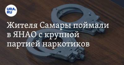 Жителя Самары поймали в ЯНАО с крупной партией наркотиков - ura.news - Россия - Самара - Ноябрьск - окр. Янао