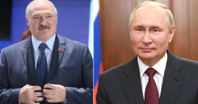 Владимир Путин - Александр Лукашенко - Путин и Лукашенко утвердят союзные программы в День народного единства - ren.tv - Россия - Белоруссия - Севастополь