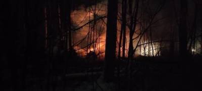 Появилось первое видео с места крушения Ан-12 в Иркутской области - vm.ru - Иркутская обл. - Якутск - Иркутск