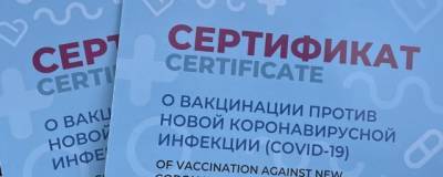 На сибирячку завели второе за три месяца дело о подделке сертификатов вакцинации - runews24.ru - Россия - Новосибирск