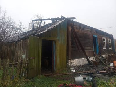 Загорелся дом: В Новогрудском районе на пожаре погиб 50-летний мужчина - grodnonews.by - Белоруссия - район Новогрудский