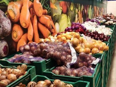Евгений Арзамасцев - Диетолог Арзамасцев назвал овощи, которые спасут от стресса и поднимут настроение - rosbalt.ru - Москва