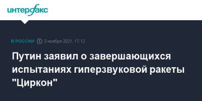 Владимир Путин - Путин заявил о завершающихся испытаниях гиперзвуковой ракеты "Циркон" - interfax.ru - Москва - Россия