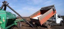 Владимир Путин - Михаил Мишустин - Россия ограничивает вывоз удобрений, чтобы остановить рост цен на продукты - finanz.ru - Россия