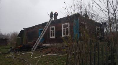 Мужчина погиб при пожаре под Новогрудком - belta.by - Белоруссия - район Новогрудский