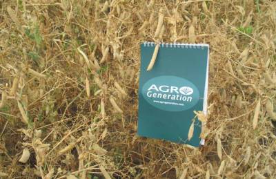 Урожайность гороха в AgroGeneration выросла почти на 30% - agroportal.ua - Украина