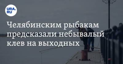 Челябинским рыбакам предсказали небывалый клев на выходных. Скрин - ura.news
