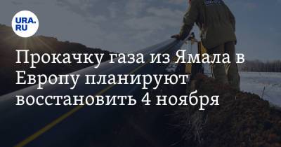 Прокачку газа из Ямала в Европу планируют восстановить 4 ноября - ura.news - Германия - Польша