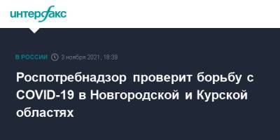 Роспотребнадзор проверит борьбу с COVID-19 в Новгородской и Курской областях - interfax.ru - Москва - Курская обл. - Новгородская обл.