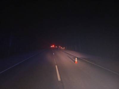 В Корткеросском районе сразу два пешехода попали под авто , один погиб - komiinform.ru - Сыктывкар - Печорск