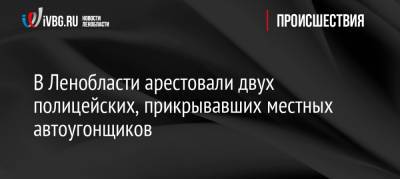 В Ленобласти арестовали двух полицейских, прикрывавших местных автоугонщиков - ivbg.ru - Украина - Ленинградская обл. - р-н Всеволожский