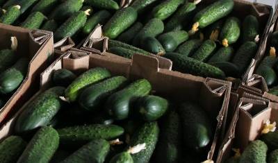 Огурцы снова стали лидерами подорожания среди продуктов - newizv.ru - Россия