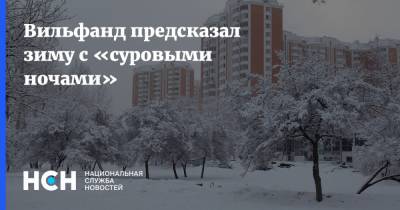 Роман Вильфанд - Вильфанд предсказал зиму с «суровыми ночами» - nsn.fm - Москва - Россия