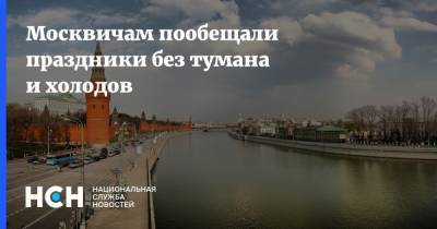Татьяна Позднякова - Москвичам пообещали праздники без тумана и холодов - nsn.fm - Москва - Московская обл.