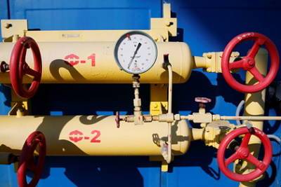 Елена Бурмистрова - В «Газпроме» нашли недостаток в рекордных ценах на газ в Европе - lenta.ru