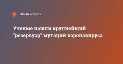 Ученые нашли крупнейший "резервуар" мутаций коронавируса - ren.tv