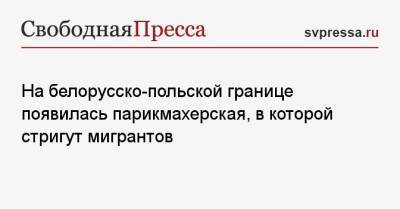 На белорусско-польской границе появилась парикмахерская, в которой стригут мигрантов - svpressa.ru - Россия - Белоруссия - Польша - Литва - Латвия