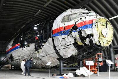 Нидерланды задумались о новом разбирательстве против России по делу MH17 - lenta.ru - Москва - Россия - Украина - Голландия