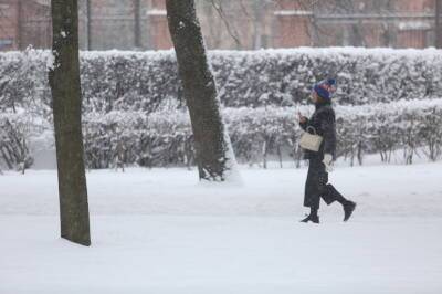 «Массированный залп» осадков образует на улицах Петербурга 20-сантиметровый снежный покров - neva.today - Санкт-Петербург