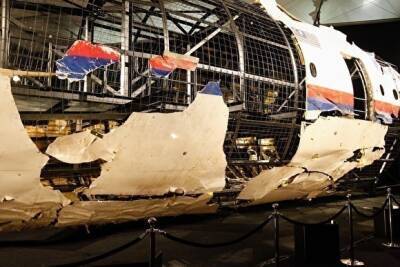 Нидерланды планируют инициировать новое разбирательство в ИКАО по делу MH17 - znak.com - Москва - Россия - Голландия - Малайзия