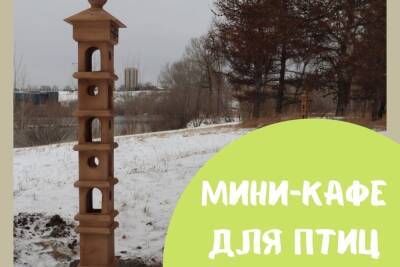 Птичье кафе появилось на острове Татышев в Красноярске - kras.mk.ru - Красноярск