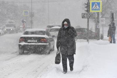 Новый снежный циклон будет сильнее предыдущего и затронет весь Хабаровский край - власти - interfax-russia.ru - Хабаровский край - Хабаровск