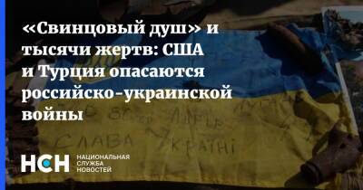 «Свинцовый душ» и тысячи жертв: США и Турция опасаются российско-украинской войны - nsn.fm - Москва - Россия - США - Украина - Грузия - Турция