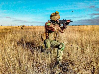 Людмила Денисова - Боевики восемь раз открывали огонь на Донбассе. Ранен гражданский и двое военных ВСУ - gordonua.com - Россия - Украина - Крым - Луганская обл. - Донецкая обл. - Обстрелы