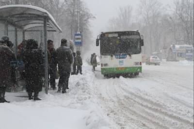 Снежная зима в Псковской области продлится до 8 декабря - mk-pskov.ru - Псковская обл. - Псков