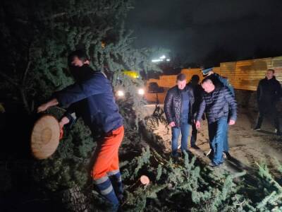 В Крыму из-за урагана пострадали пять человек - runews24.ru - Крым - район Симферопольский