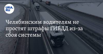 Алексей Нечаев - Челябинским водителям не простят штрафы ГИБДД из-за сбоя системы - ura.news - Челябинская обл.