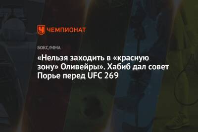 Хабиб Нурмагомедов - Дастин Порье - Чарльз Оливейрой - «Нельзя заходить в «красную зону» Оливейры». Хабиб дал совет Порье перед UFC 269 - championat.com
