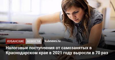 Анна Минькова - Налоговые поступления от самозанятых в Краснодарском крае в 2021 году выросли в 70 раз - kubnews.ru - Краснодарский край