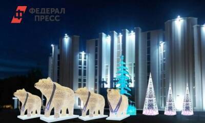 Сегодня по улицам Кургана проедут новогодние белые медведи - fedpress.ru - Курганская обл.