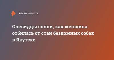 Очевидцы сняли, как женщина отбилась от стаи бездомных собак в Якутске - ren.tv - респ. Саха - Якутск