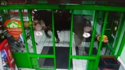 Попытавшегося въехать в магазин на лошади россиянина высекли плетью и уволили - penzainform.ru - Курская обл. - Курск