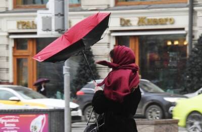 Ветер в Москве может усилиться до 25 м/с - interfax-russia.ru - Москва - Россия