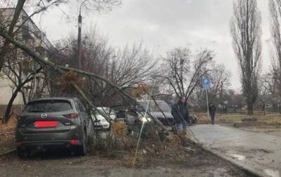 В Харькове ураган повредил авто и повалил деревья - korrespondent.net - Украина - Харьков - Александровск