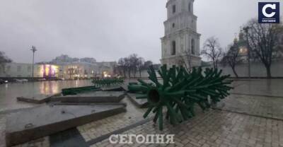 В Киеве начали устанавливать главную елку страны - kp.ua - Украина - Киев - Львовская обл.