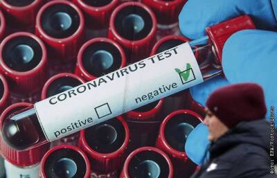 В РФ выявлено минимальное с 15 октября число случаев COVID-19 за сутки - interfax.ru - Москва - Россия - Санкт-Петербург - Московская обл.