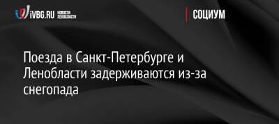 Поезда в Санкт-Петербурге и Ленобласти задерживаются из-за снегопада - ivbg.ru - Россия - Украина - Ленинградская обл. - Санкт-Петербург - Псков